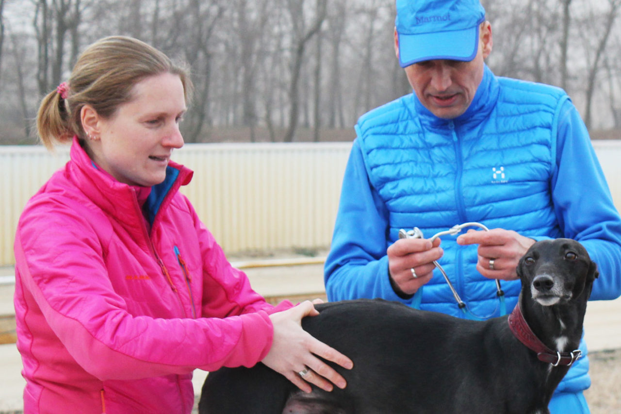 Uwe Romberger und Christine Burggraf mit ihren Hunden