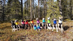 Ortsbild von „veganVet@pflanzlicheAlternative“